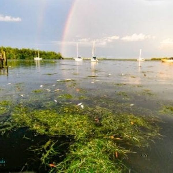 Reel Time: Waterkeeper Alliance holding polluters accountable