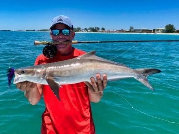 Reel Time: The cobia