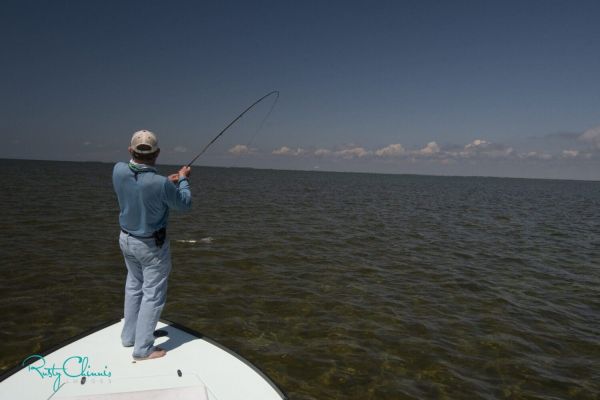 Check, check and double check!