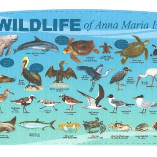 Educational signs coming to John Chappie Park