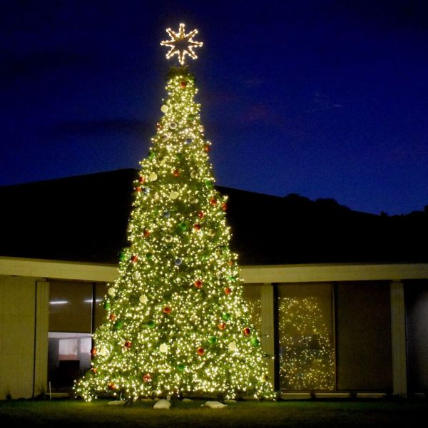 AMI Chamber celebrates Christmas tree lighting