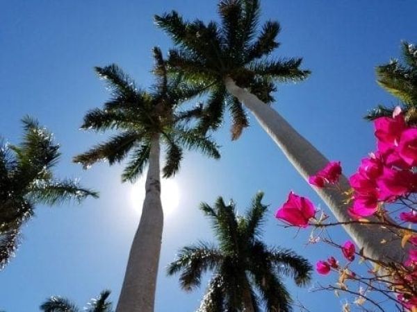 Welcome to the SUN