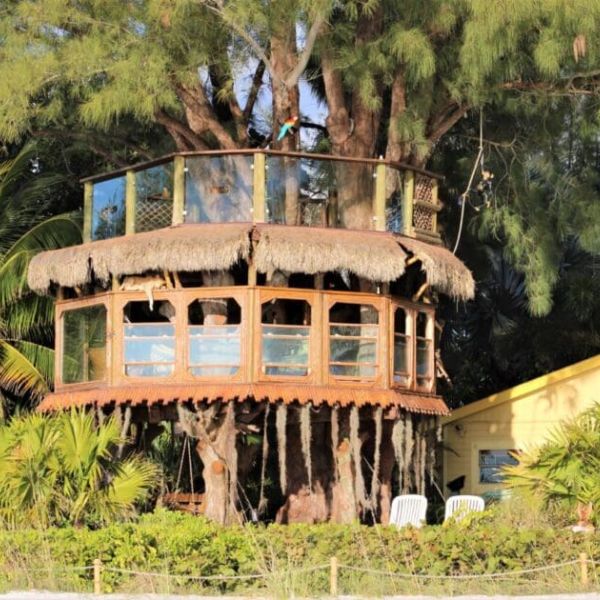 Treehouse owners clash with city over VRC renewals