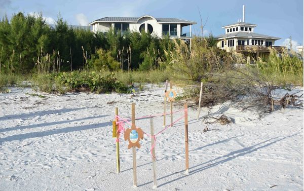 FDEP allows beachfront development