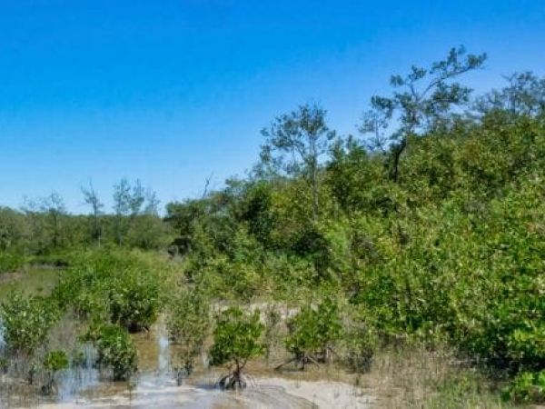 The solution to climate change