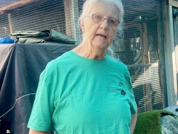 Wildlife Inc. rehabbed after hurricane damage