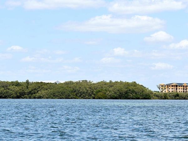 FDEP seeks $8,500 for Aqua mangrove violations